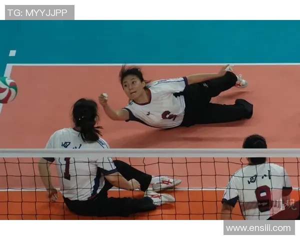 排球热点:解读成都排球队的转换 排球热点:解读成都排球队的转换